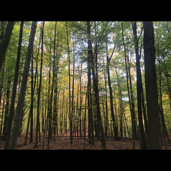 Meet your Posher, Leeanna - Picture 1 of 1